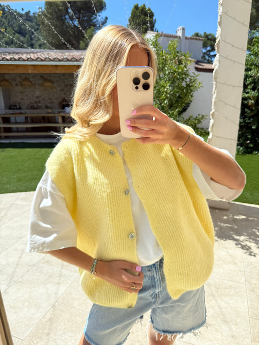 Gilet jaune