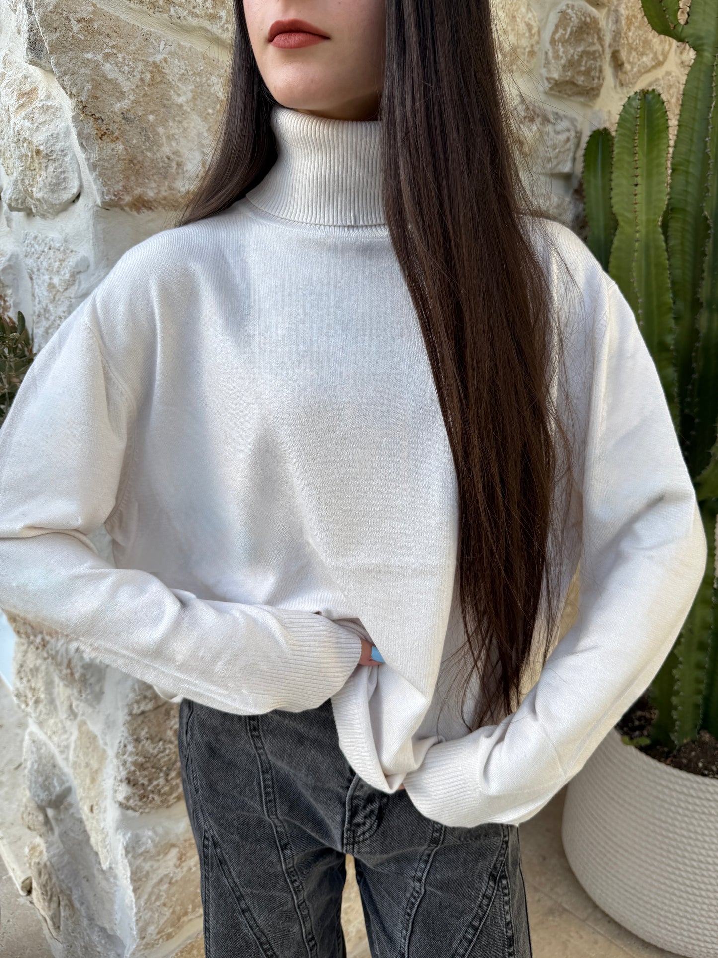 Pull col roulé beige